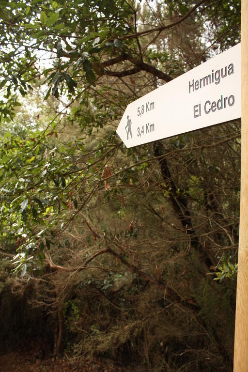 Casa Rural El Rincon De Antonia Agulo Esterno foto