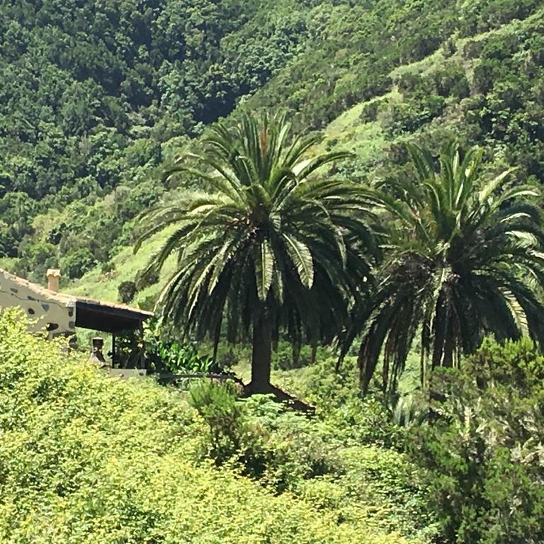 Casa Rural El Rincon De Antonia Agulo Esterno foto