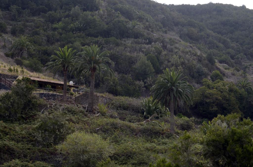 Casa Rural El Rincon De Antonia Agulo Esterno foto